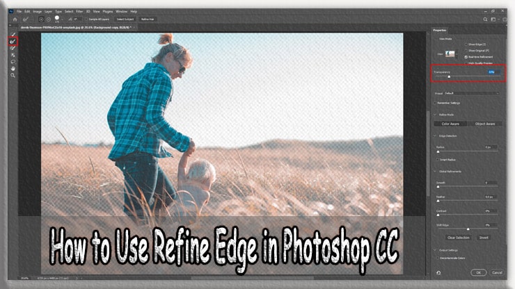 Use Refine Edge in Photoshop