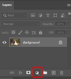 Icon at the bottom Layers panel