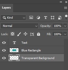 name of the layer