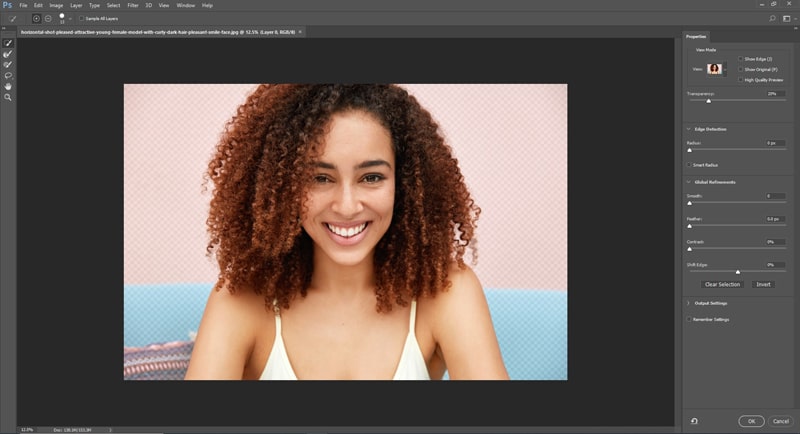 Refine Selection of the image