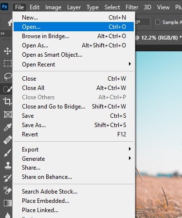 How to use the Refine Edge tool in Photoshop - Adobe