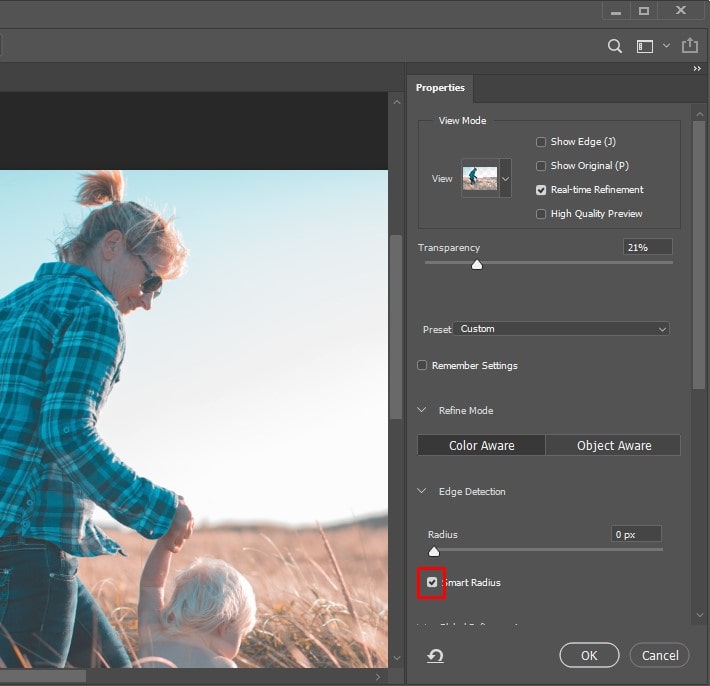 How to use the Refine Edge tool in Photoshop - Adobe