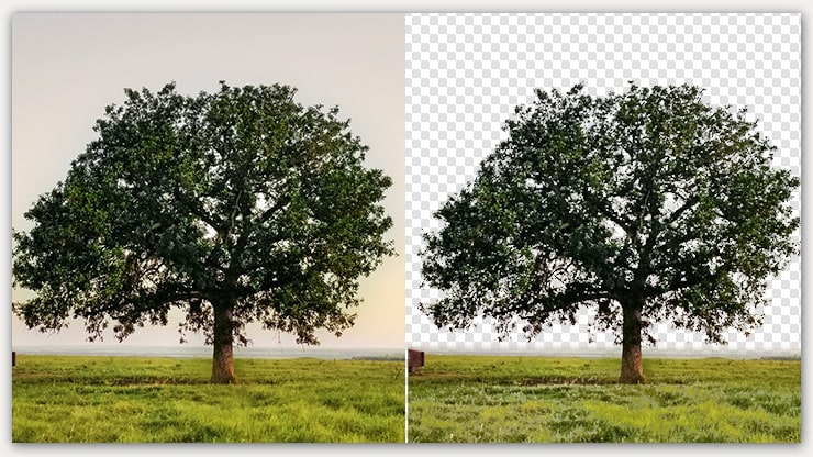 Make Background Transparent of a tree image